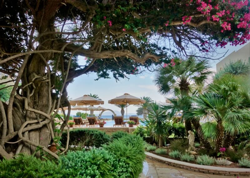 View through lush foliage of thatched sun umbrellas on a sandy beach