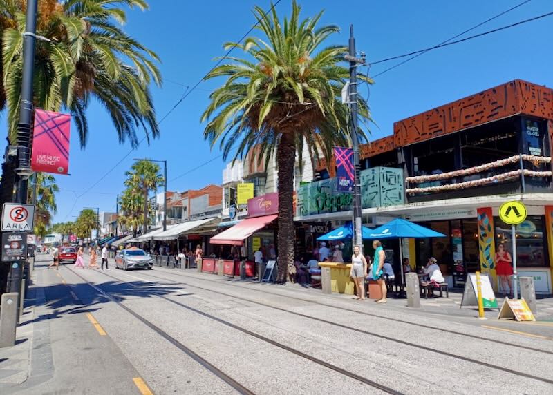 A street lined with shops and a few palm trees.