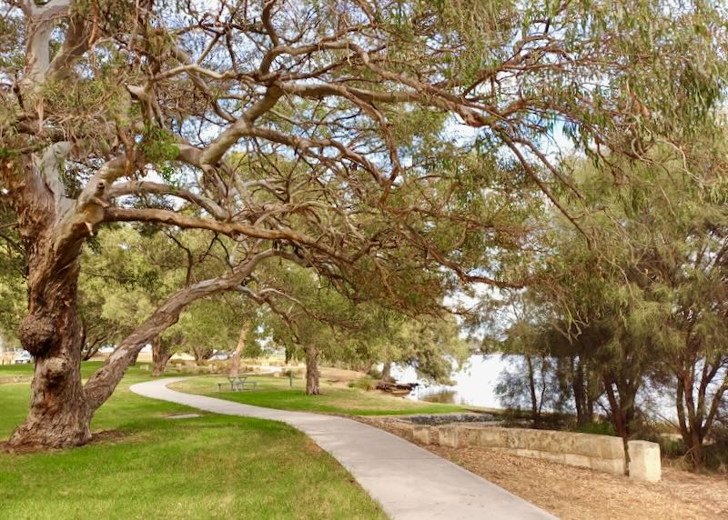 Large trees lean over sidewalks that lay next to a river.