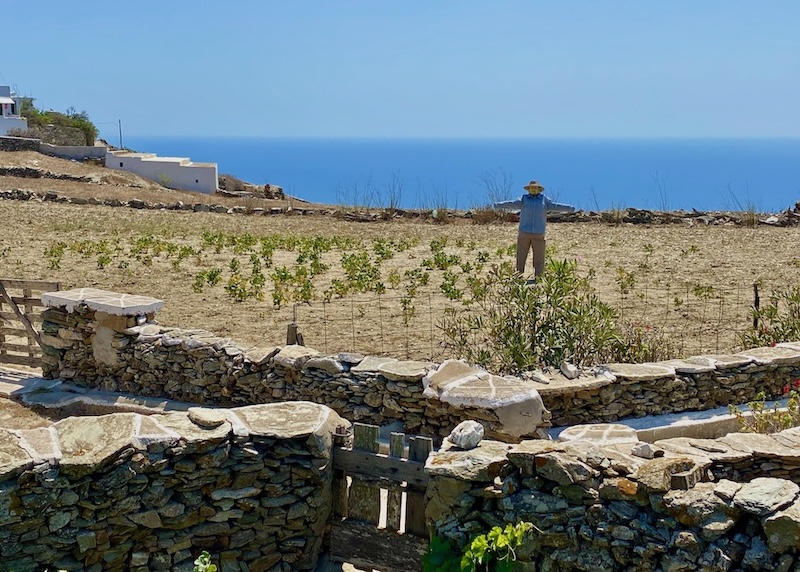 A scarecrow on a farm with the sea in the distance in Ano Meria, Folegandros.