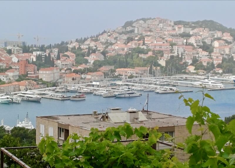 Views of a harbor with boats and a hill with houses on it.