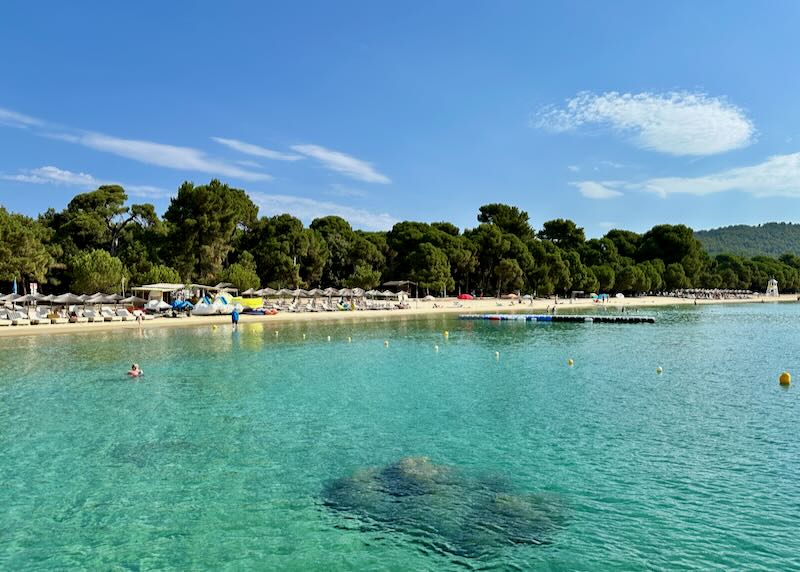 Emerald-water beach lined with pine trees on a sunny day 