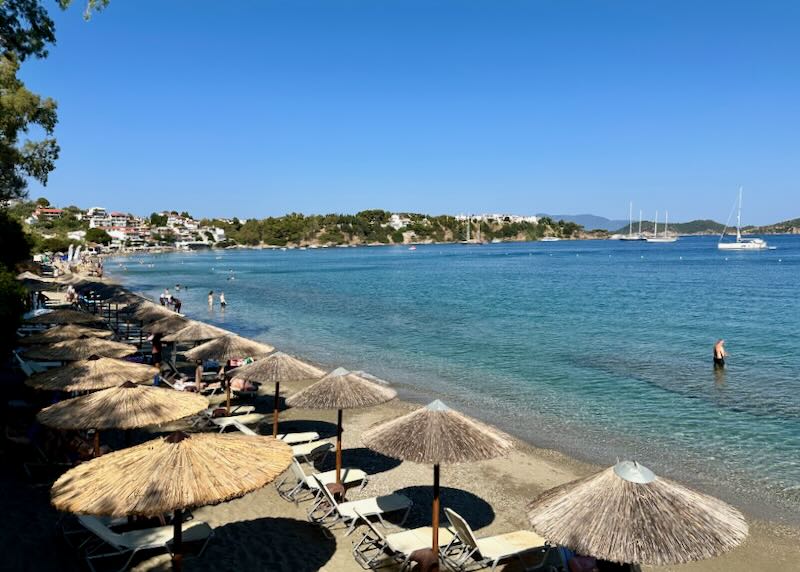 Pristine beach lined with thatched sun umbrellas