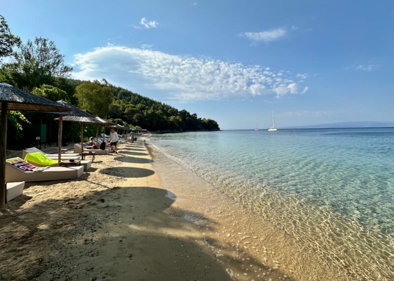 Rows of sun beds on a tree-lined sandy beach