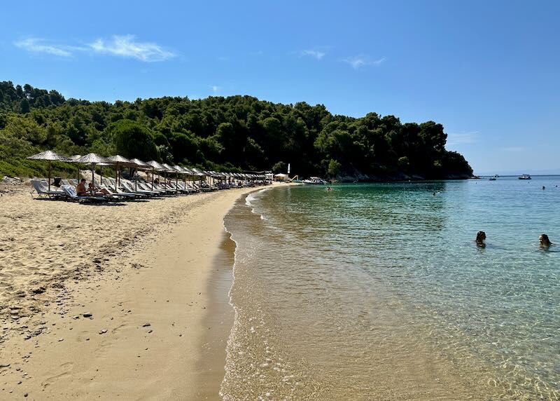 Golden sand beach with rows of sun beds with thatched umbrellas