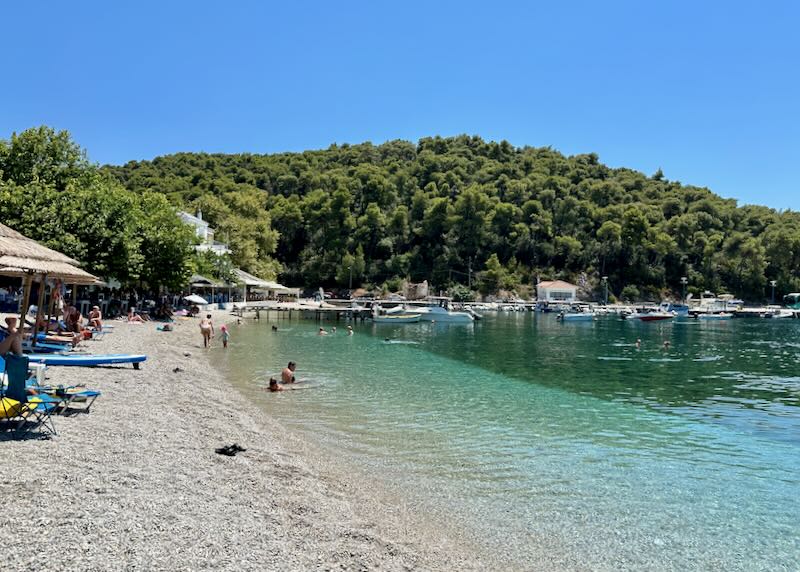 A few people lounge in the shallow clear water on a sandy beach backed by pine trees