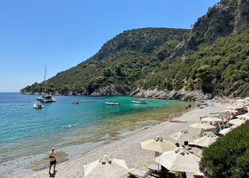 Beautiful cove beach with turquoise water and pine-covered hills behind.