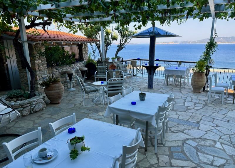 View over the sea from a vine-shaded cobblestone terrace