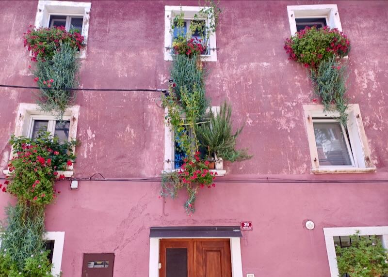 A rose-colored building has plants hanging from the windows.