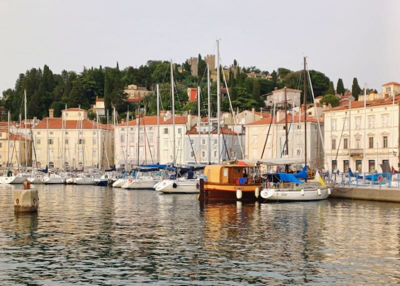Boats float tied to a harbor.