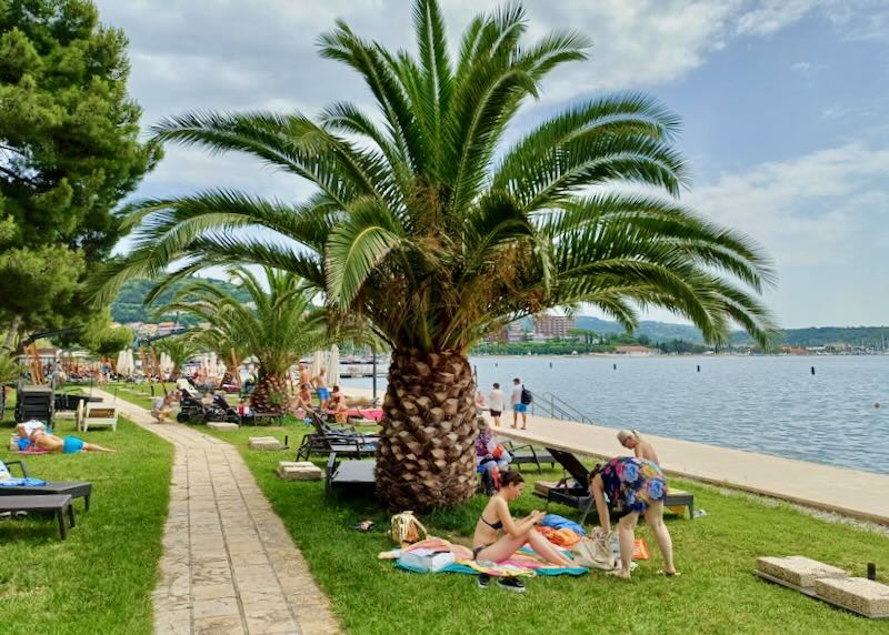 People in bathing suits sit on green grass and under palm trees by the sea.