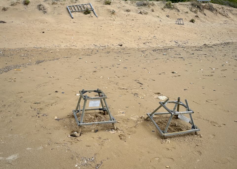 Wooden frames set up to protect endangered sea turtle nests on a sandy beach.