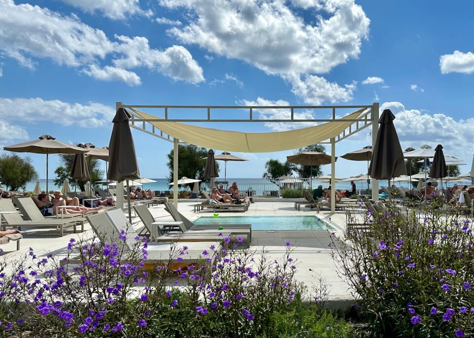 Outdoor pool with sun canopy, as seen through purple flowers.