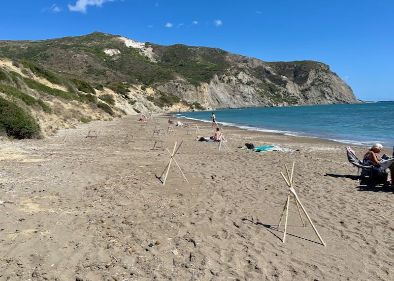 Sandy beach with wooden structures set up to protect sea turtle nests.