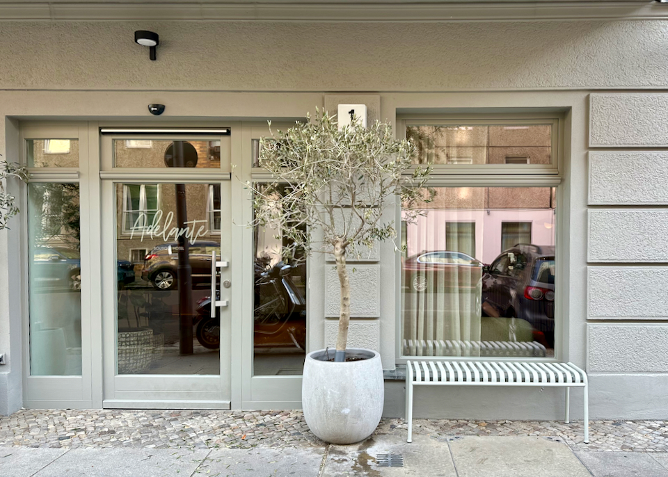 Doorway of a small boutique hotel, with an olive tree in front