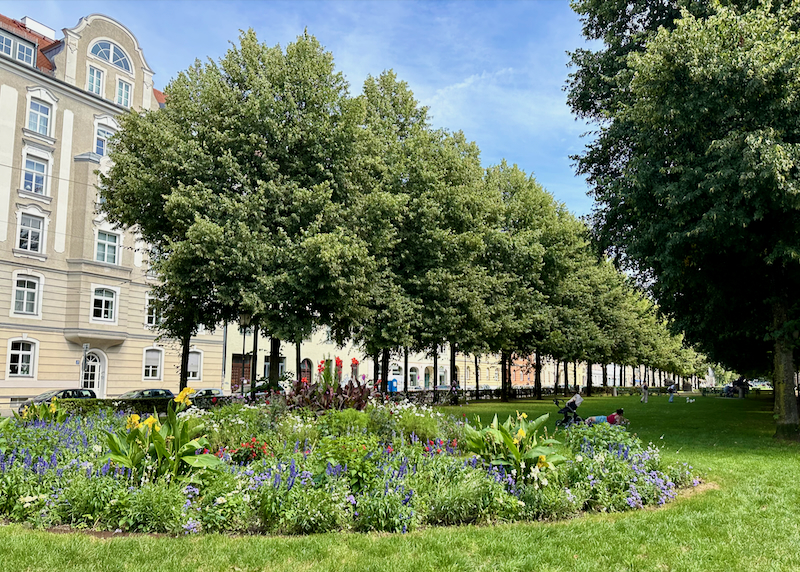 Peaceful park boulevard lined with trees and French-style apartments, with people lounging on the grass