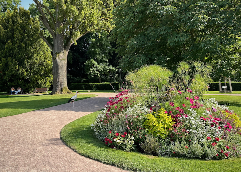 A crane stands on a curved gravel path near a flowering garden bed. 